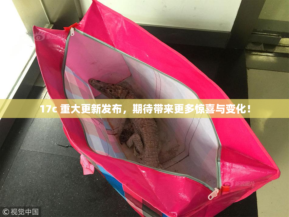 17c 重大更新发布，期待带来更多惊喜与变化！