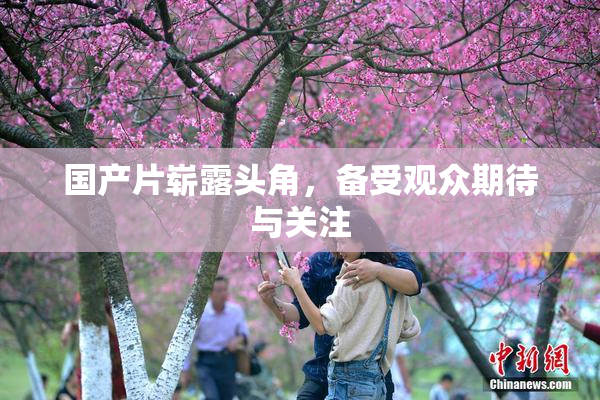 国产片崭露头角，备受观众期待与关注
