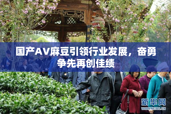 国产AV麻豆引领行业发展，奋勇争先再创佳绩