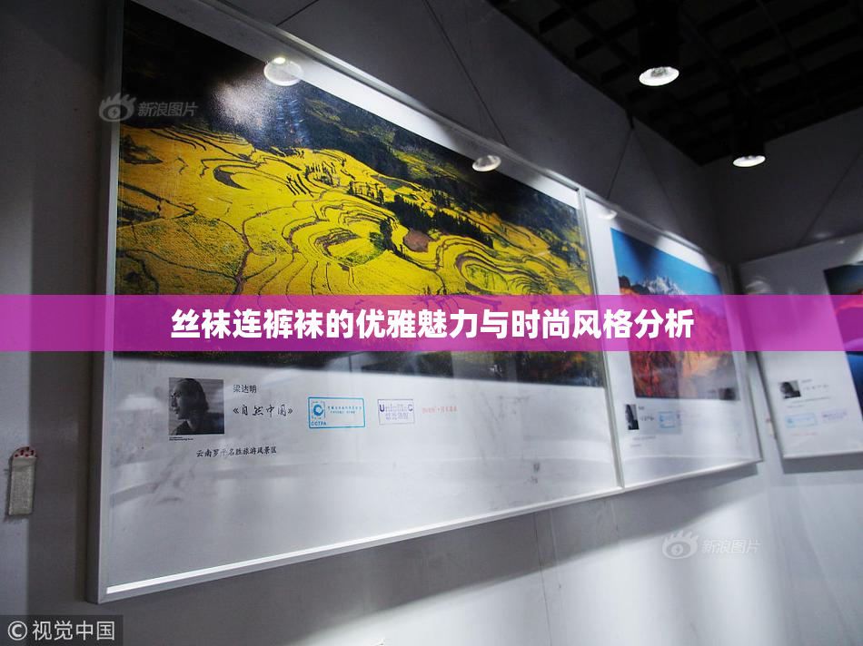 丝袜连裤袜的优雅魅力与时尚风格分析