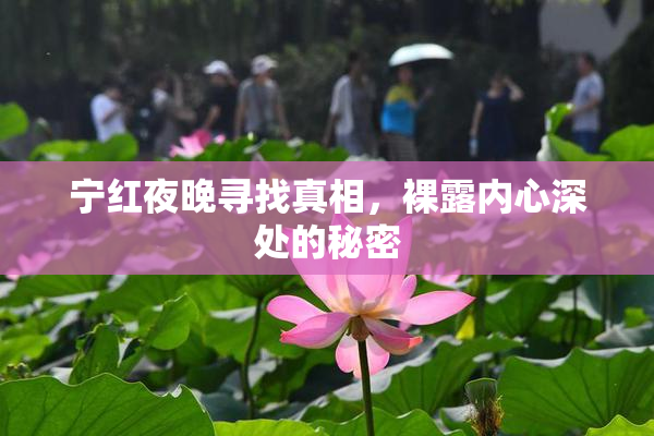 宁红夜晚寻找真相，裸露内心深处的秘密