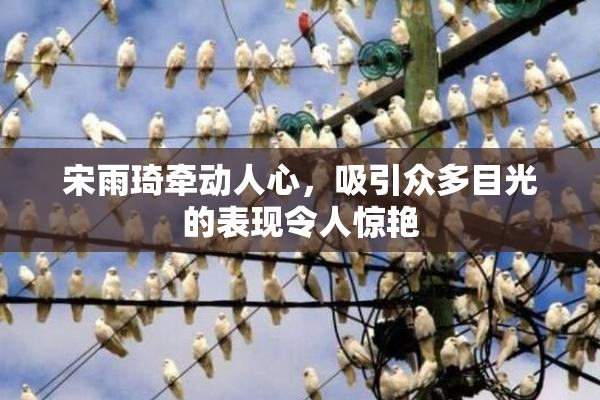 宋雨琦牵动人心，吸引众多目光的表现令人惊艳
