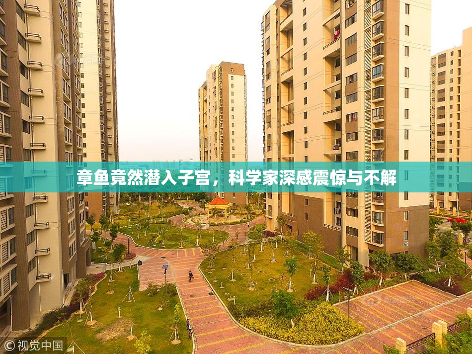 章鱼竟然潜入子宫，科学家深感震惊与不解