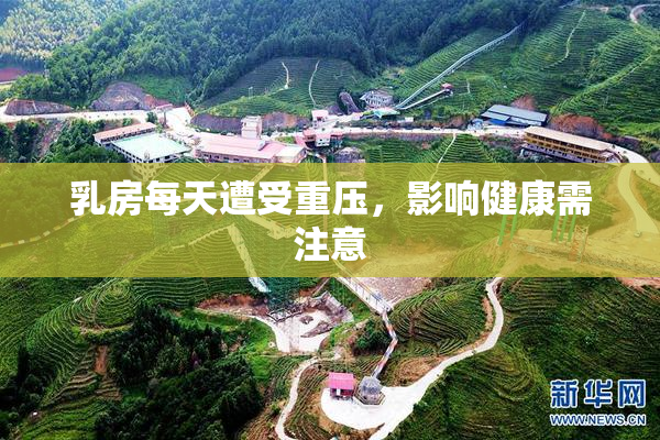 乳房每天遭受重压，影响健康需注意