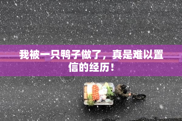 我被一只鸭子做了，真是难以置信的经历！