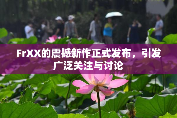 FrXX的震撼新作正式发布，引发广泛关注与讨论