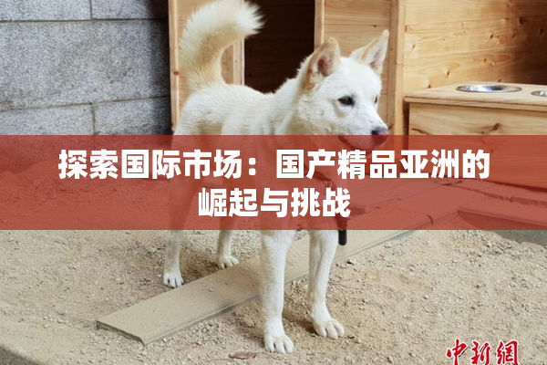 探索国际市场：国产精品亚洲的崛起与挑战