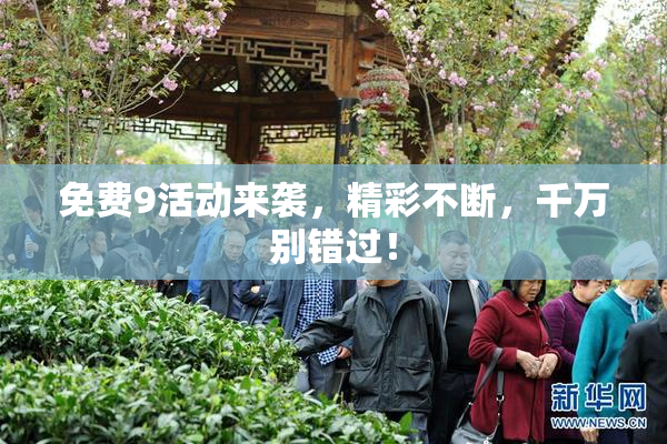 免费9活动来袭，精彩不断，千万别错过！
