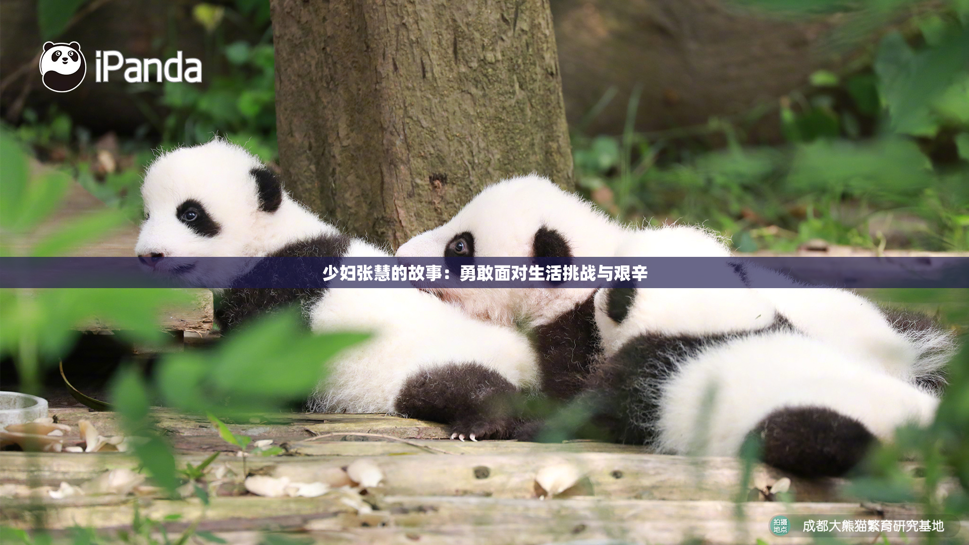 少妇张慧的故事：勇敢面对生活挑战与艰辛