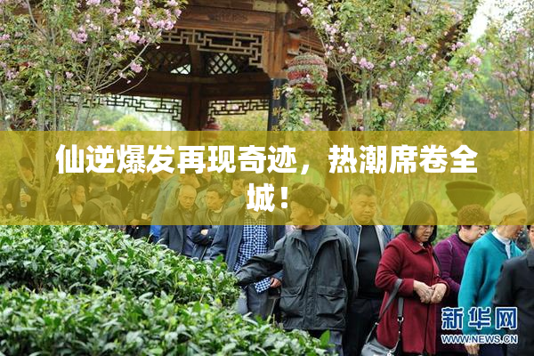 仙逆爆发再现奇迹，热潮席卷全城！
