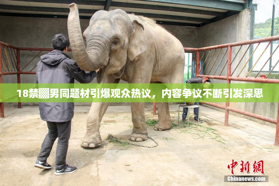 18禁▓男同题材引爆观众热议，内容争议不断引发深思
