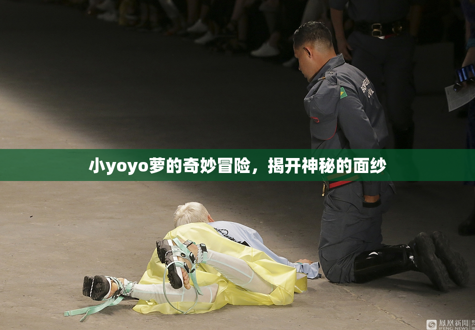 小yoyo萝的奇妙冒险，揭开神秘的面纱