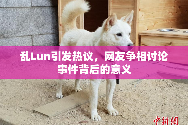 乱Lun引发热议，网友争相讨论事件背后的意义