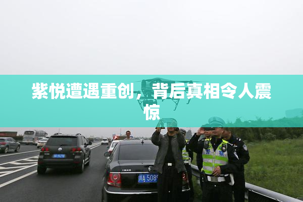 紫悦遭遇重创，背后真相令人震惊