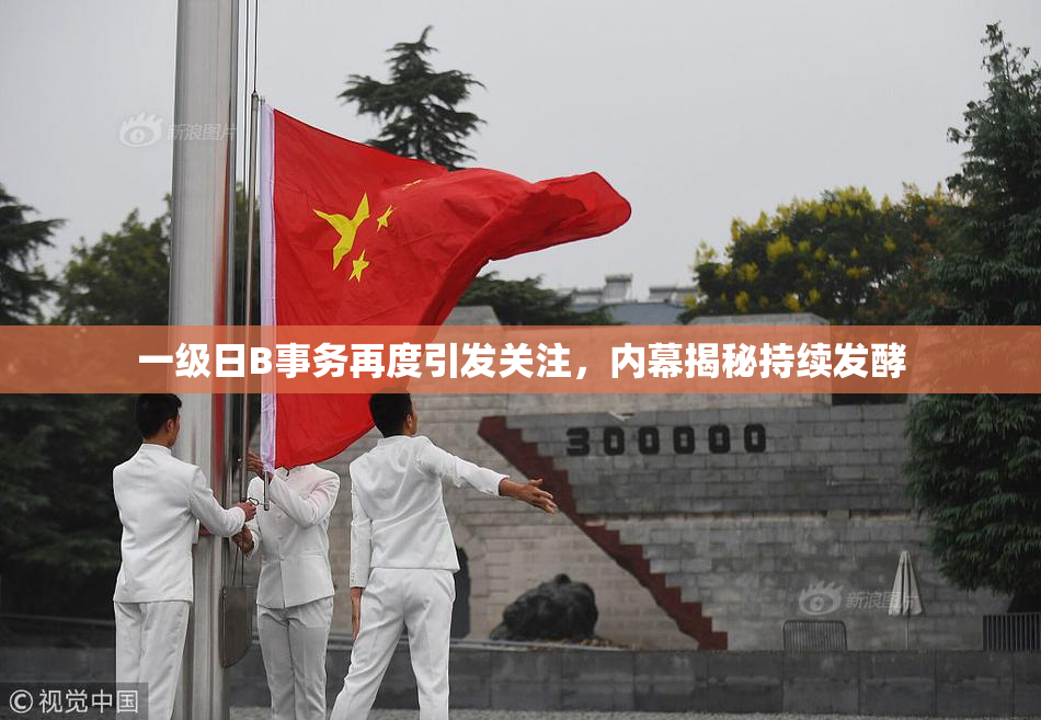 一级日B事务再度引发关注，内幕揭秘持续发酵