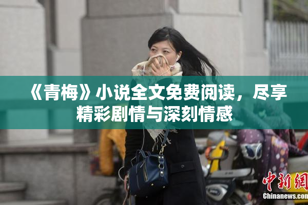 《青梅》小说全文免费阅读，尽享精彩剧情与深刻情感