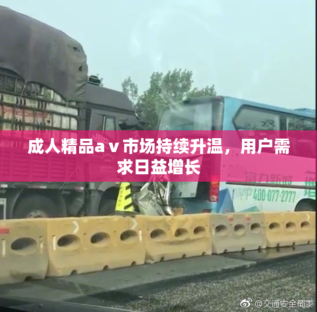 成人精品aⅴ市场持续升温，用户需求日益增长