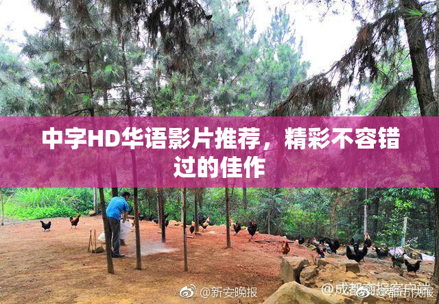 中字HD华语影片推荐，精彩不容错过的佳作