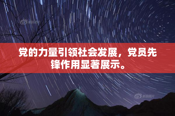 党的力量引领社会发展，党员先锋作用显著展示。