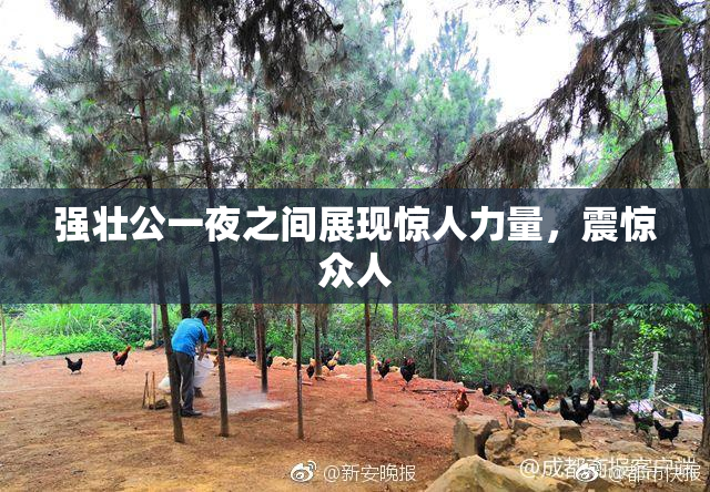 强壮公一夜之间展现惊人力量，震惊众人