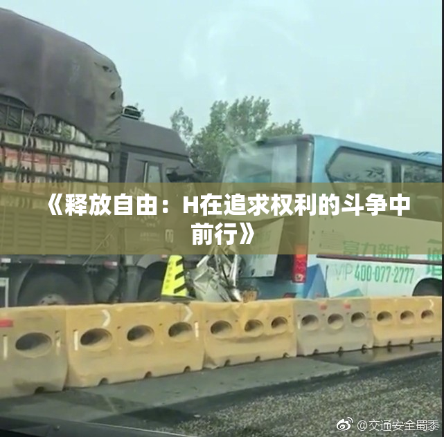 《释放自由：H在追求权利的斗争中前行》