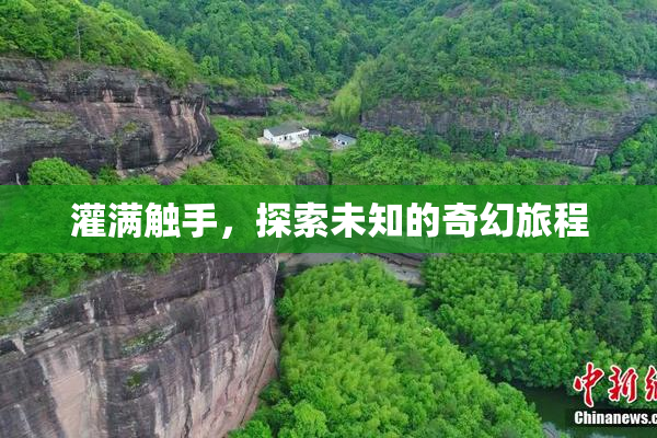 灌满触手，探索未知的奇幻旅程