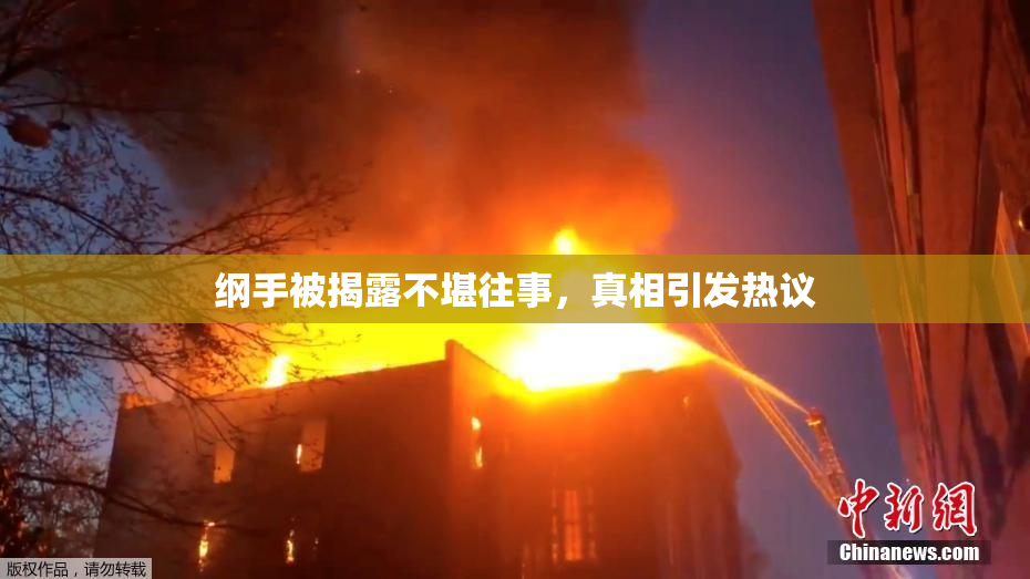 纲手被揭露不堪往事，真相引发热议
