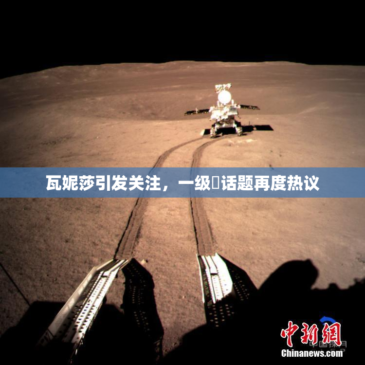 瓦妮莎引发关注，一级婬话题再度热议