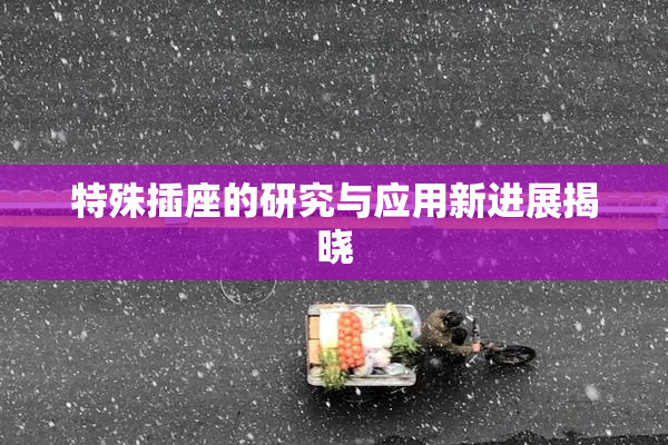 特殊插座的研究与应用新进展揭晓
