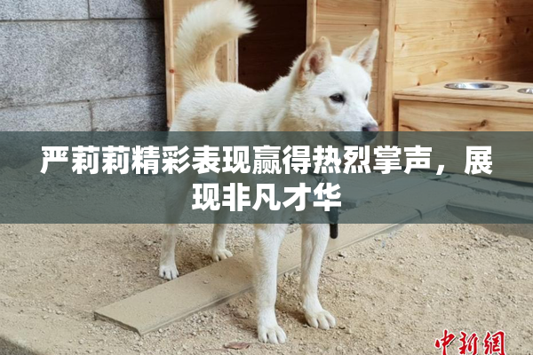 严莉莉精彩表现赢得热烈掌声，展现非凡才华