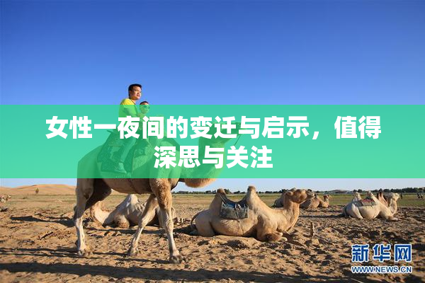 女性一夜间的变迁与启示，值得深思与关注