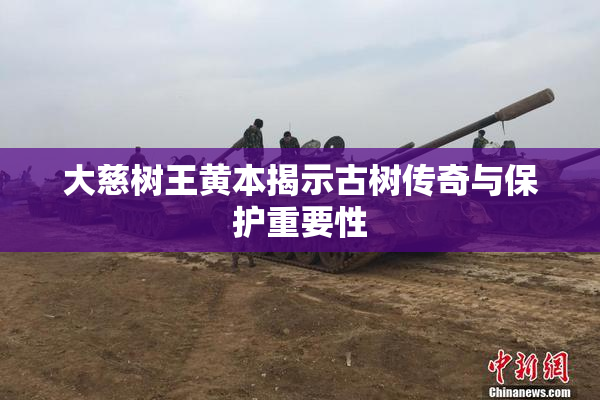大慈树王黄本揭示古树传奇与保护重要性