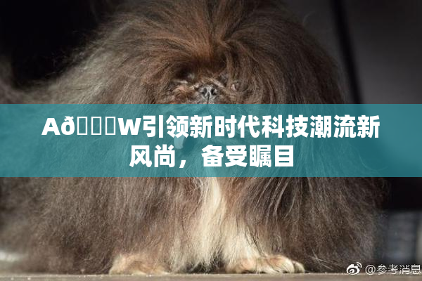 A🔞W引领新时代科技潮流新风尚，备受瞩目