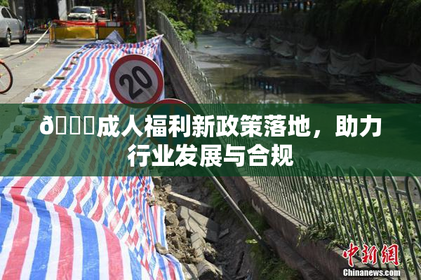 🔞成人福利新政策落地，助力行业发展与合规