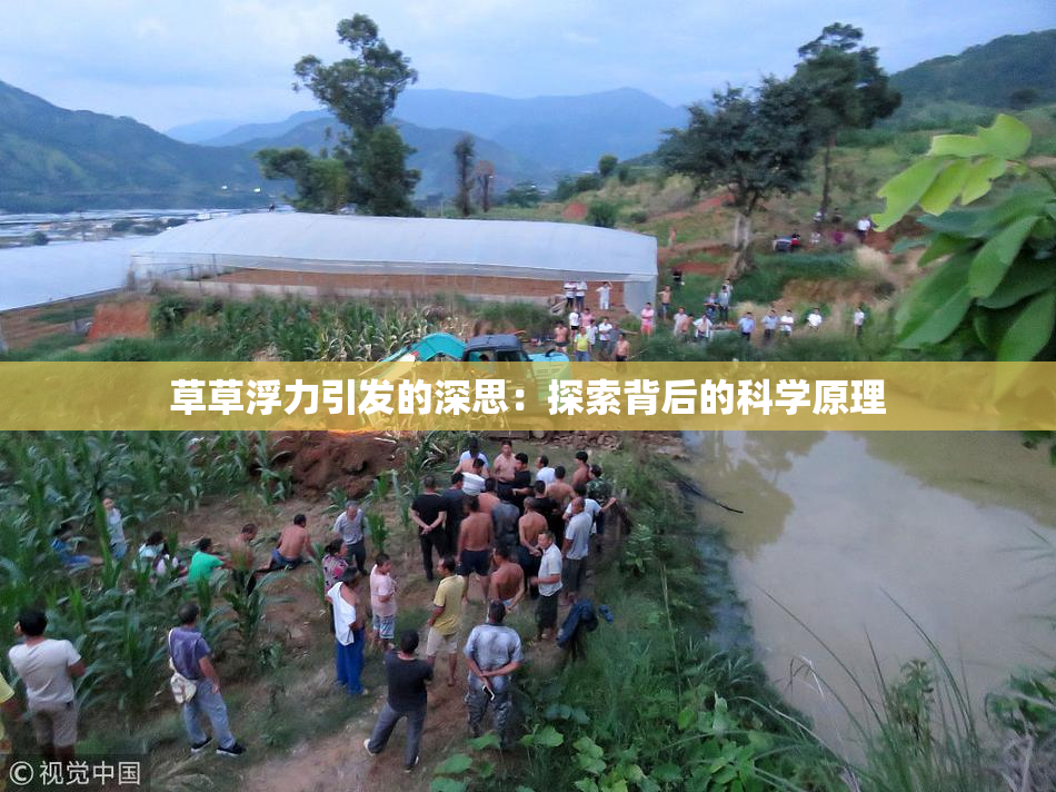 草草浮力引发的深思：探索背后的科学原理