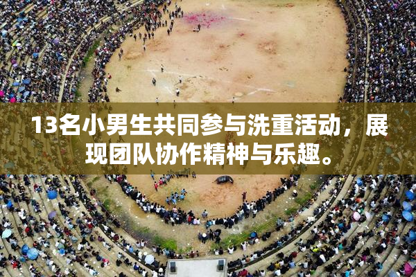 13名小男生共同参与洗重活动，展现团队协作精神与乐趣。