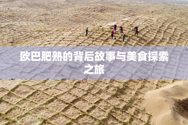 欧巴肥熟的背后故事与美食探索之旅