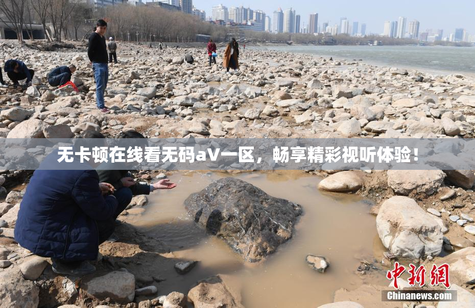 无卡顿在线看无码aV一区，畅享精彩视听体验！
