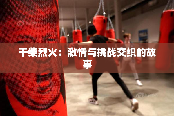 干柴烈火：激情与挑战交织的故事