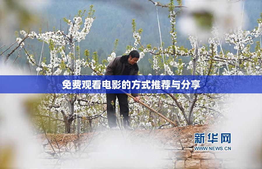 免费观看电影的方式推荐与分享