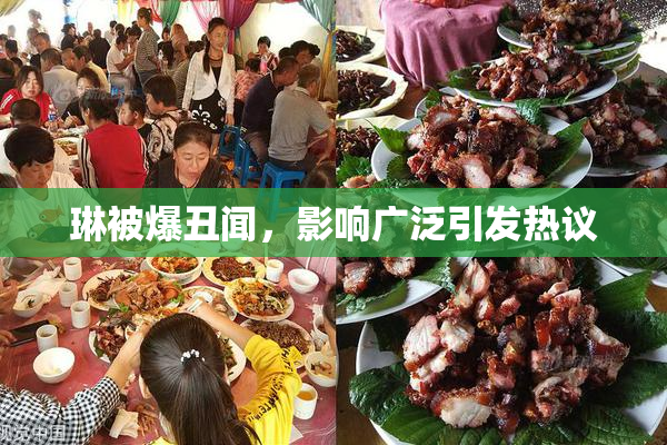 琳被爆丑闻，影响广泛引发热议