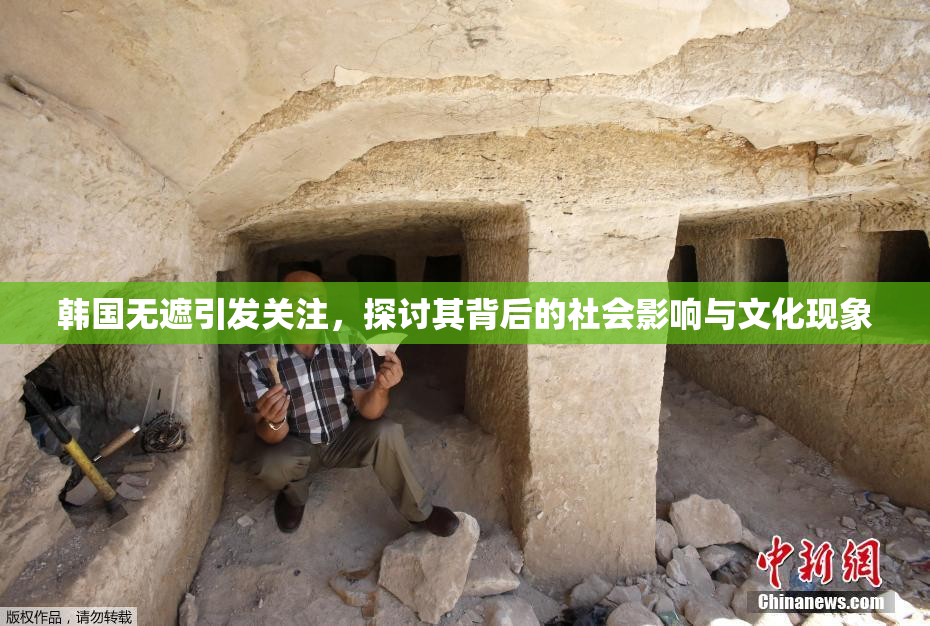 韩国无遮引发关注，探讨其背后的社会影响与文化现象