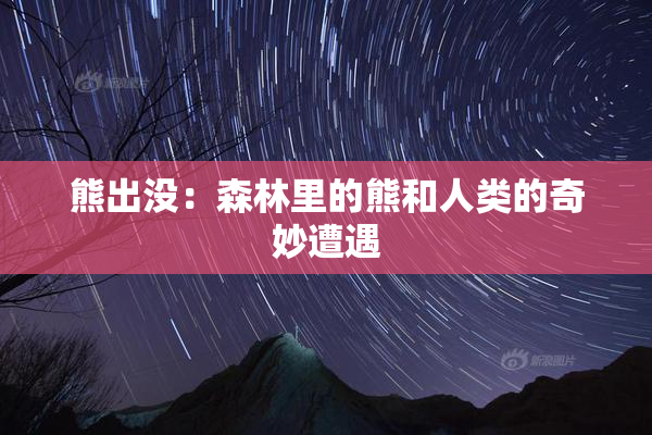 熊出没：森林里的熊和人类的奇妙遭遇