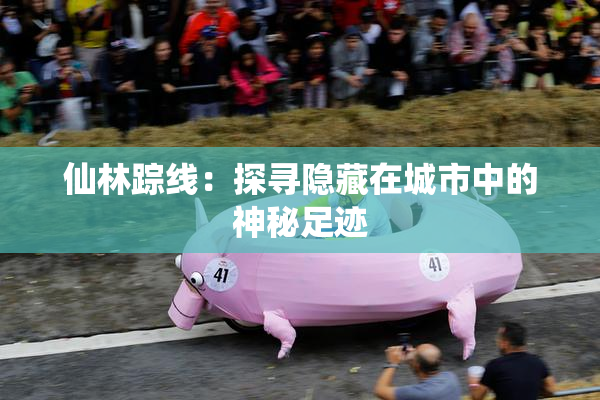 仙林踪线：探寻隐藏在城市中的神秘足迹