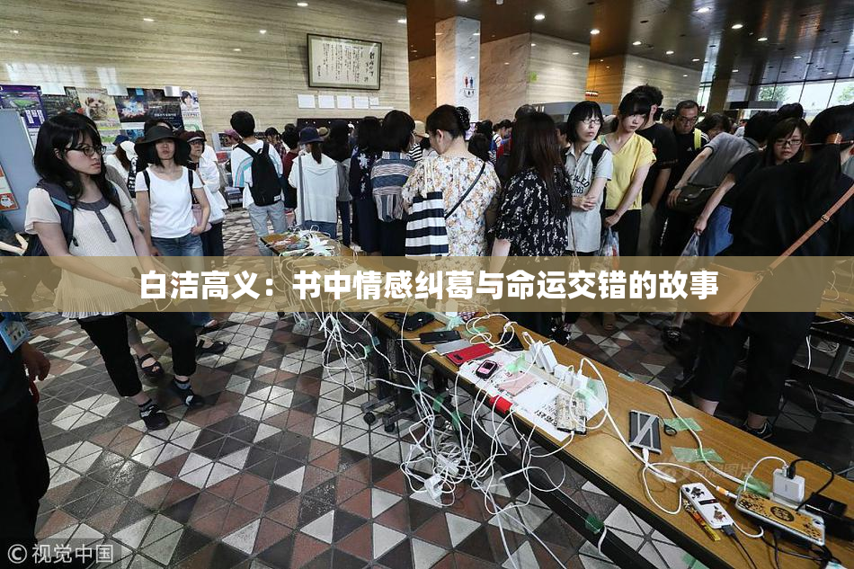 白洁高义：书中情感纠葛与命运交错的故事