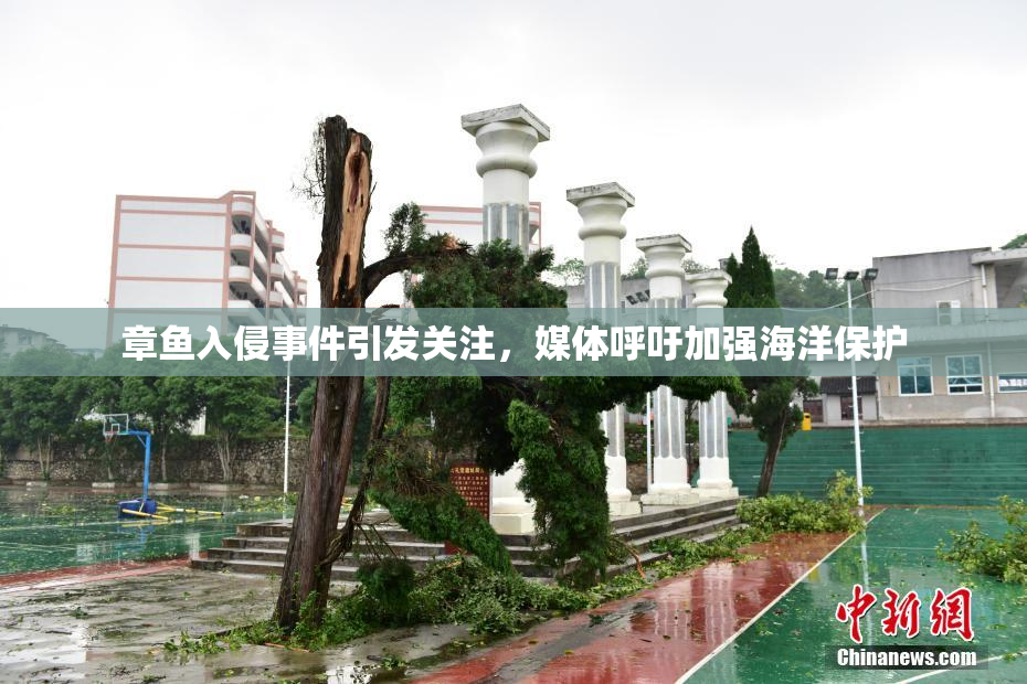章鱼入侵事件引发关注，媒体呼吁加强海洋保护