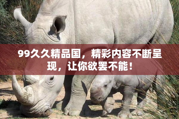 99久久精品国，精彩内容不断呈现，让你欲罢不能！