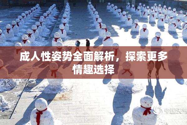 成人性姿势全面解析，探索更多情趣选择