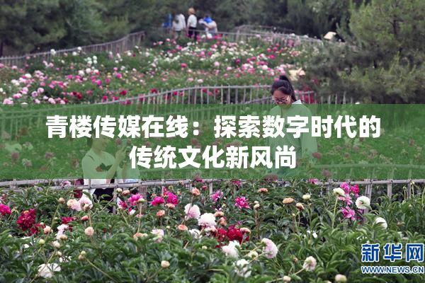 青楼传媒在线：探索数字时代的传统文化新风尚