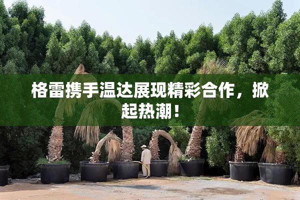 格雷携手温达展现精彩合作，掀起热潮！